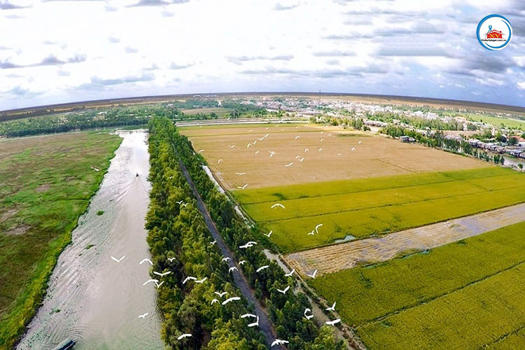 Đo đạc Long An