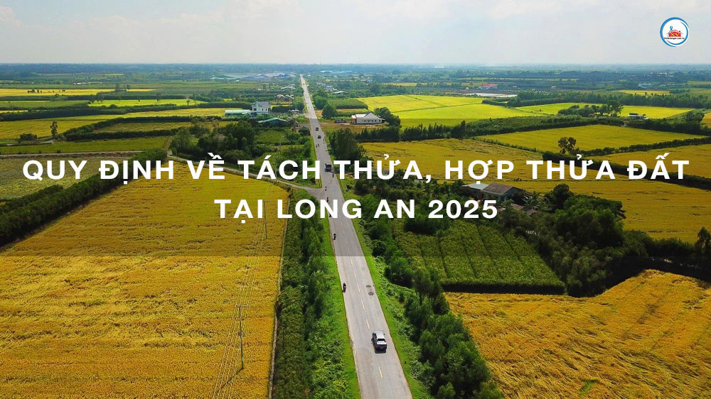 Quy định mới nhất 2025 về tách thửa, hợp thửa đất tại Long An